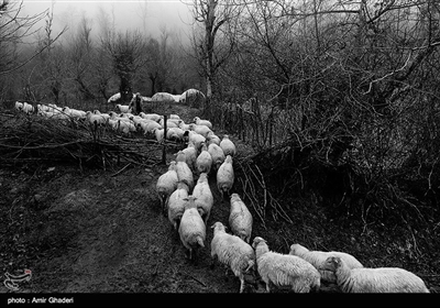 این روستا مردمان بسیار ساده و میهمان نوازی دارد که شغل اصلی آنها دامداری و زنبورداری است