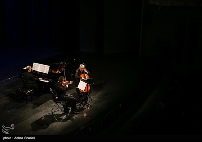  اجرای گروه «تریو امئل» از اسلوونی در اولین شب سی و چهارمین جشنواره موسیقی فجر در تالار وحدت