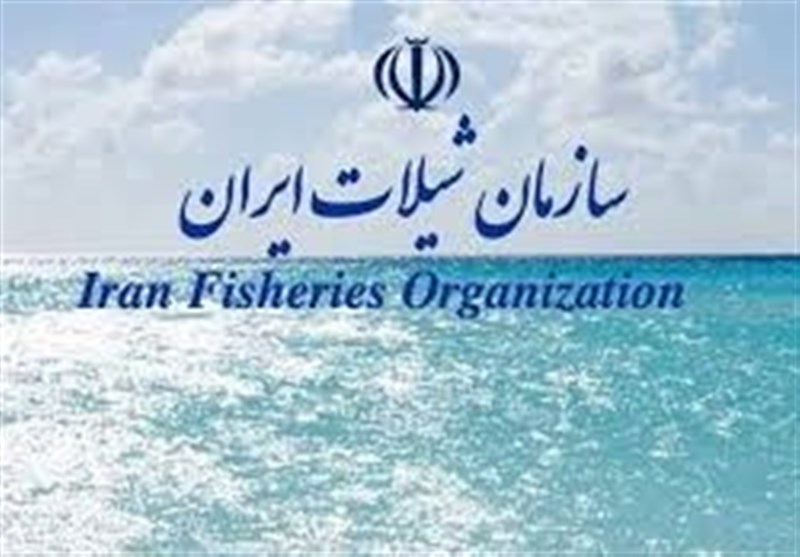 اعزام تیم‌هایی به 2 کشور آفریقایی برای اجرای صید فراسرزمینی