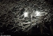 اردبیل در شبی برفی به روایت تصویر