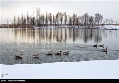 طبیعت زمستانی ارومیه