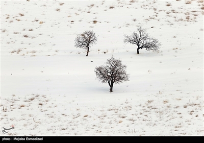 طبیعت زمستانی ارومیه