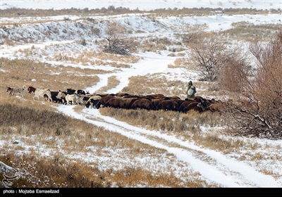 طبیعت زمستانی ارومیه