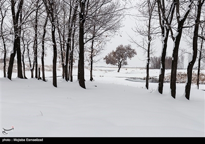 طبیعت زمستانی ارومیه