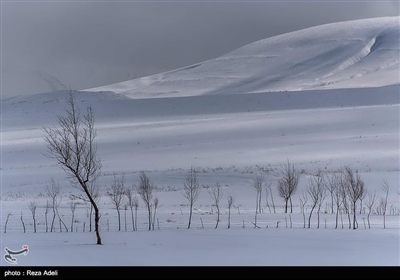 طبیعت برفی آذربایجان شرقی
