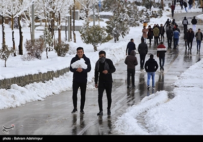 بارش برف در شورابیل - اردبیل