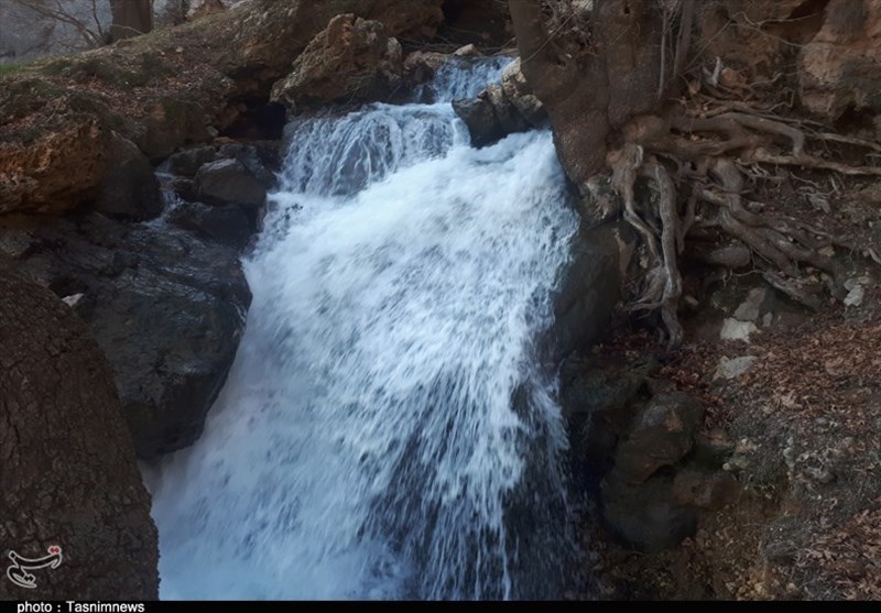 کهگیلویه و بویراحمد|طبیعت زمستانی آبشار بهرام بیگی به روایت تصویر