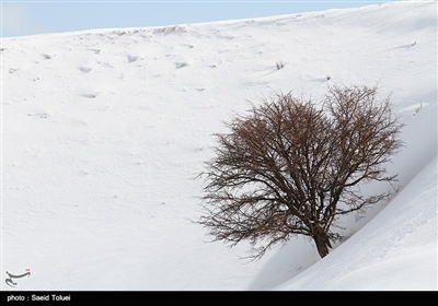 Winter in Iran's Northeastern Province of North Khorasan