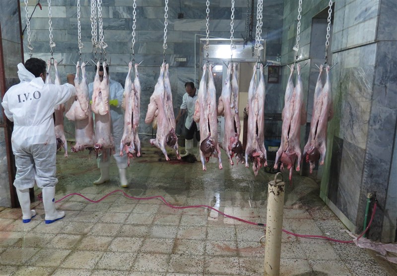 رفع مشکل متروکه شدن 70 کانتینر گوشت وارداتی در گمرک