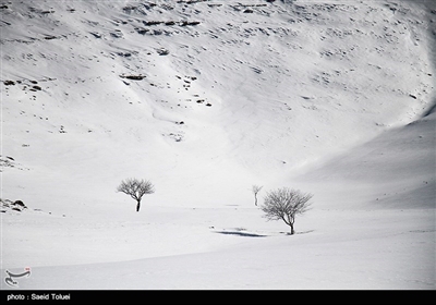 خراسان شمالی میں برف باری کے مناظر