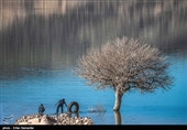 آینده کشور بدون توجه به محیطزیست قابل تصور نیست