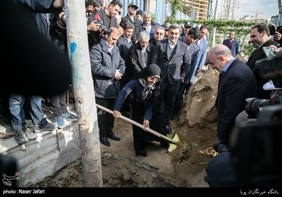 زهرا صدر اعظم نوری در پروژه ساماندهی و احیاء درختان چنار خیابان ولیعصر