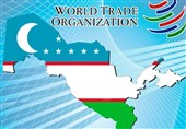 معاون مدیر کل سازمان تجارت جهانی: ازبکستان می‌تواند در عرض دو سال به WTO بپیوندد