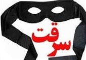 طرح برهم زدن بازارهای خرید و فروش اموال مسروقه در فضای مجازی در قزوین اجرا میشود