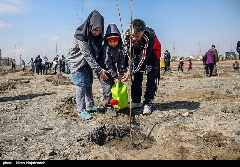 یک میلیون اصله نهال در استان مازندران غرس می‌شود