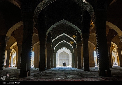 مسجد وکیل شیراز یکی از بناهای تاریخی برجای‌ مانده از دوران حکومت زندیه است که به دلیل معماری و نوع ساخت، از جمله بناهای ارزشمند و مهم محسوب می‌شود.