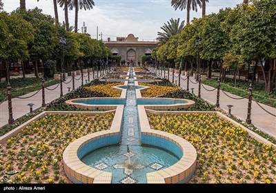 این باغ که نامش را از درختان نارنج درون خود گرفته است، کوچک‌ترین و دوست‌داشتنی‌ترین باغ شیراز است. 