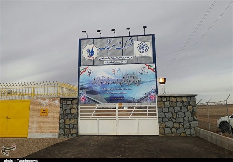 افتتاح ‌بزرگ‌ترین مزرعه مرغ مادر تخمگذار کشور در زنجان+تصاویر