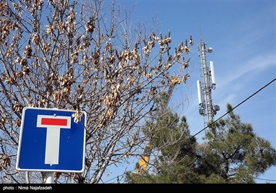 ماجرای دکلهای مخابراتی در شیراز ادامه دارد/ رصد "شدت امواج" دکلها