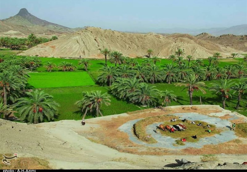 مسئولان سیستان و بلوچستان به دنبال احداث سد روی رودخانه کاجو/ شهر قنات‌ها خشک می‌شود؟