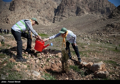 روز درختکاری و آغاز هفته منابع طبیعی امروز با حضور استاندار کرمانشاه در محوطه بیمارستان امام رضا (ع) برگزار شد.