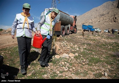 آیین روز درختکاری و آغاز هفته منابع طبیعی در اراضی مجتمع بیمارستانی امام رضا(ع)