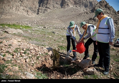 روز درختکاری و آغاز هفته منابع طبیعی امروز با حضور استاندار کرمانشاه در محوطه بیمارستان امام رضا (ع) برگزار شد.