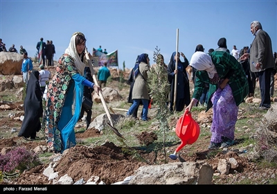 روز درختکاری و آغاز هفته منابع طبیعی امروز با حضور استاندار کرمانشاه در محوطه بیمارستان امام رضا (ع) برگزار شد.