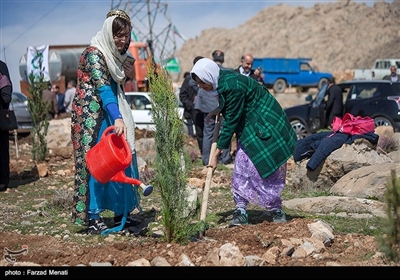 روز درختکاری و آغاز هفته منابع طبیعی امروز با حضور استاندار کرمانشاه در محوطه بیمارستان امام رضا (ع) برگزار شد.