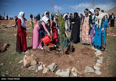 روز درختکاری و آغاز هفته منابع طبیعی امروز با حضور استاندار کرمانشاه در محوطه بیمارستان امام رضا (ع) برگزار شد.