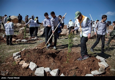 روز درختکاری و آغاز هفته منابع طبیعی امروز با حضور استاندار کرمانشاه در محوطه بیمارستان امام رضا (ع) برگزار شد.