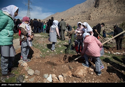 روز درختکاری و آغاز هفته منابع طبیعی امروز با حضور استاندار کرمانشاه در محوطه بیمارستان امام رضا (ع) برگزار شد.