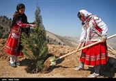 آئین روز درختکاری در بجنورد به روایت تصویر