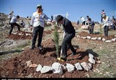 Iranians Mark National Tree Planting Week (+Photos)