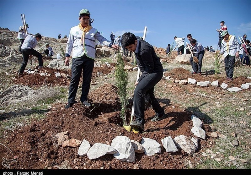 Iranians Mark National Tree Planting Week (+Photos)