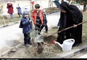 آیا &quot;غرس نهال&quot; در تهران منوط به کندن گودال توسط شهروندان است