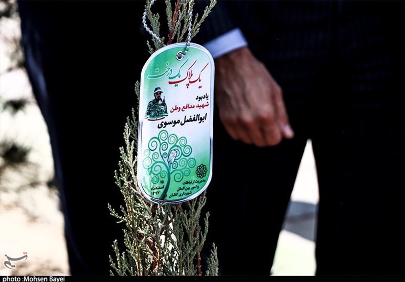 مراسم روز درختکاری در کاشان برگزار شد+تصاویر