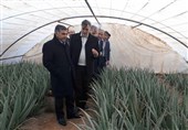 بزرگترین شهرک گلخانه‌ای خاورمیانه در پارس‌آباد راه‌اندازی می‌شود