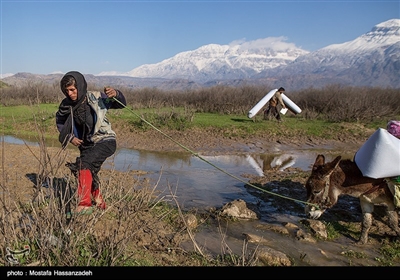 این کمک ها شامل وسایل اولیه زندگی مثل وسایل گرمایشی مواد غدایی برنج روغن و... میباشد گاها برای کودکان نیز کفش و لباس نیز تهیه و بین انها تقسیم میشود 