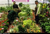 Iranians Buy Flowers in Preparation for Persian New Year