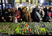 Iranians Buy Flowers in Preparation for Persian New Year