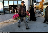 Iranians Buy Flowers in Preparation for Persian New Year