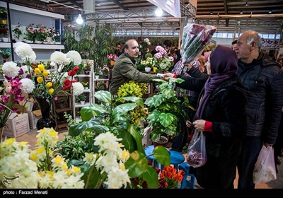 Iranians Buy Flowers in Preparation for Persian New Year