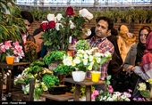 Iranians Buy Flowers in Preparation for Persian New Year