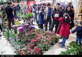 Iranians Buy Flowers in Preparation for Persian New Year