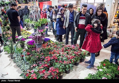Iranians Buy Flowers in Preparation for Persian New Year