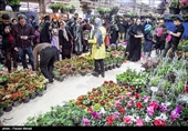 Iranians Buy Flowers in Preparation for Persian New Year