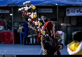 Iranians Buy Flowers in Preparation for Persian New Year