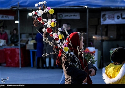 Iranians Buy Flowers in Preparation for Persian New Year