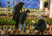 Iranians Buy Flowers in Preparation for Persian New Year